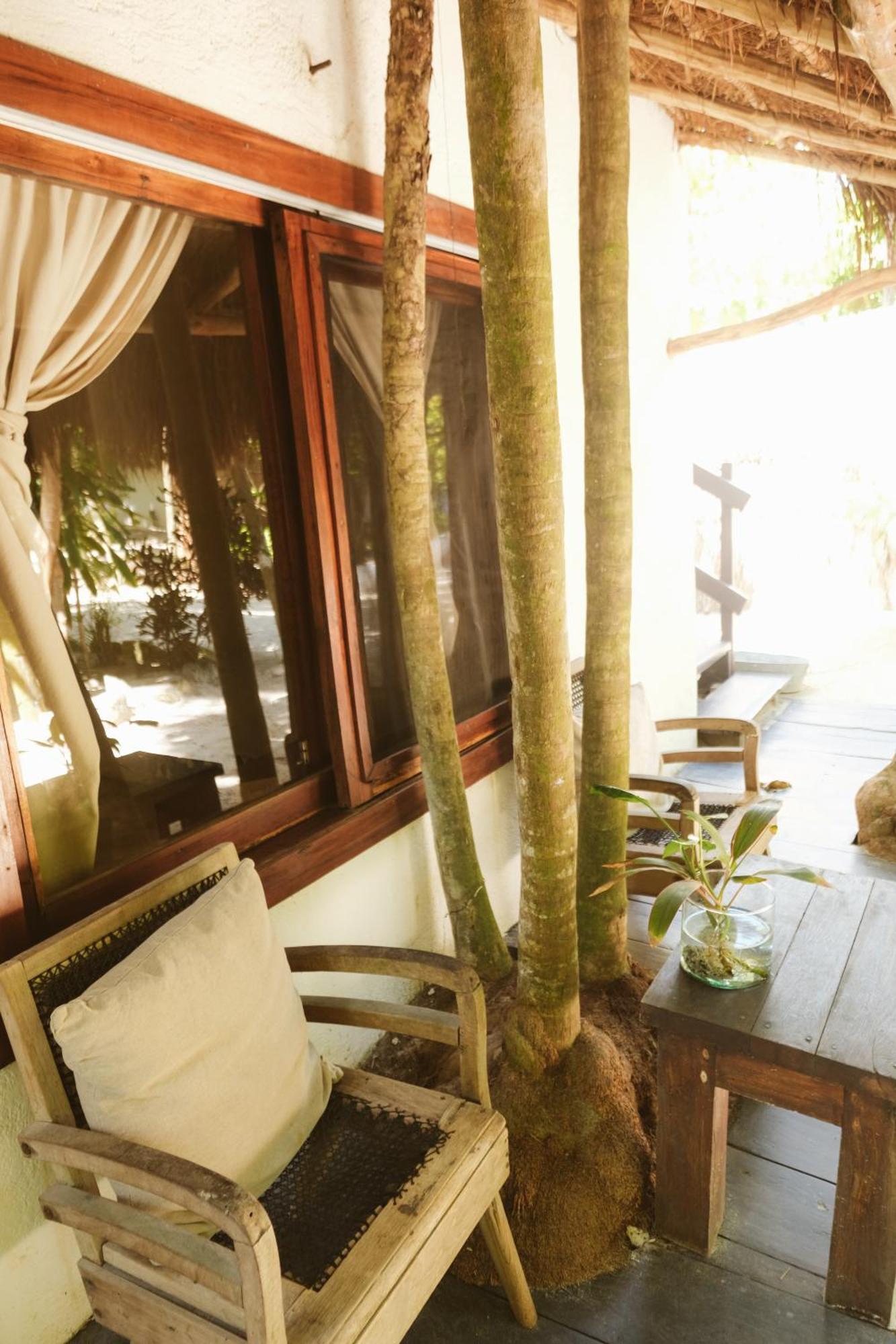 Casa Violeta Hotel 3*