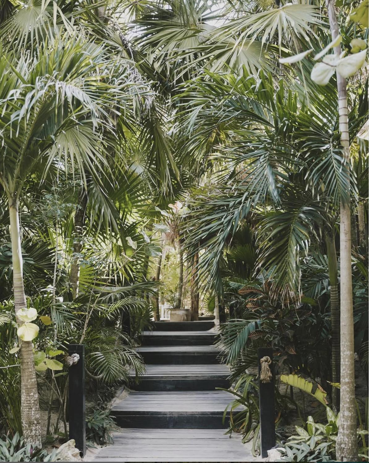 Casa Violeta Hotel 3*