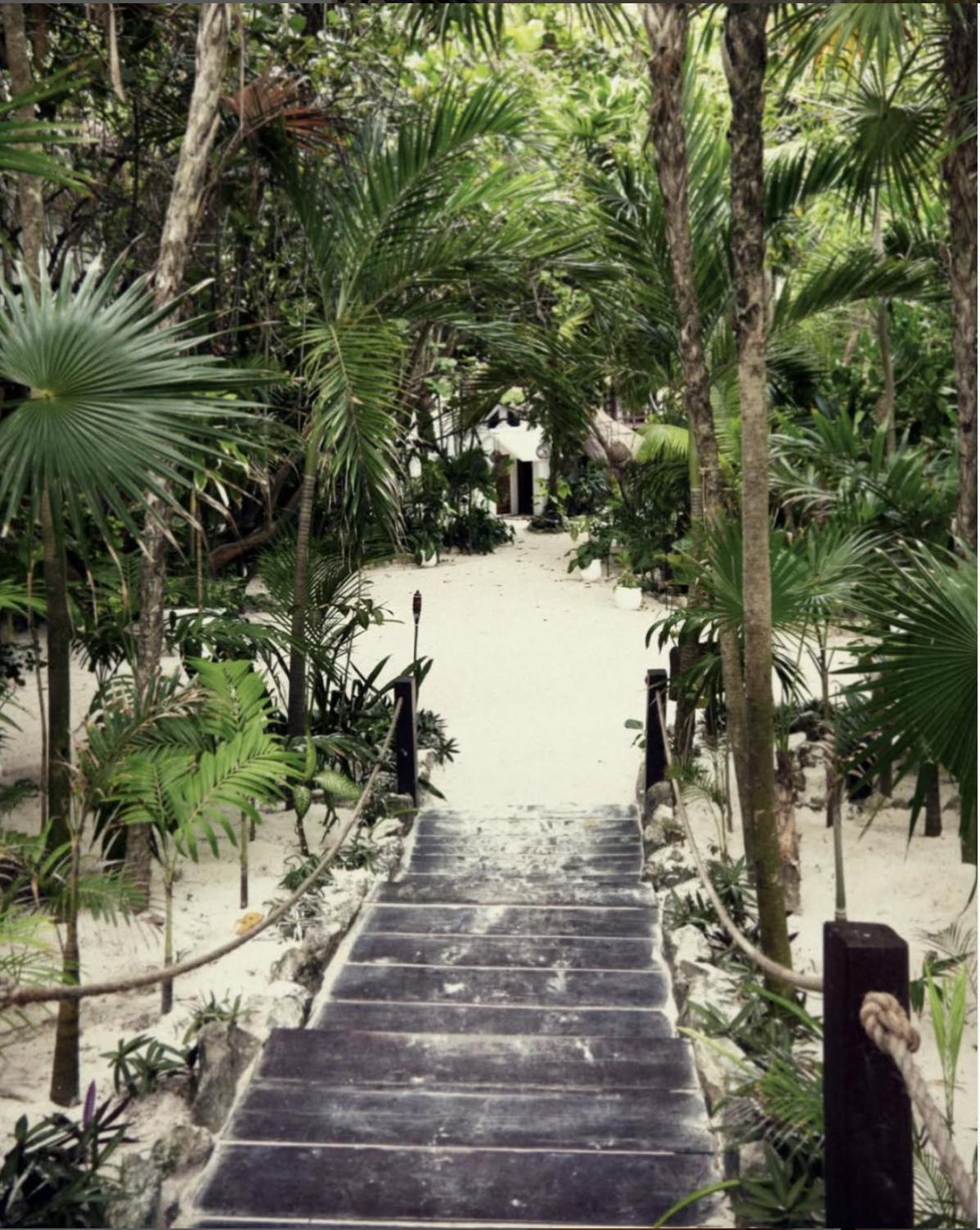 Casa Violeta Hotel 3*
